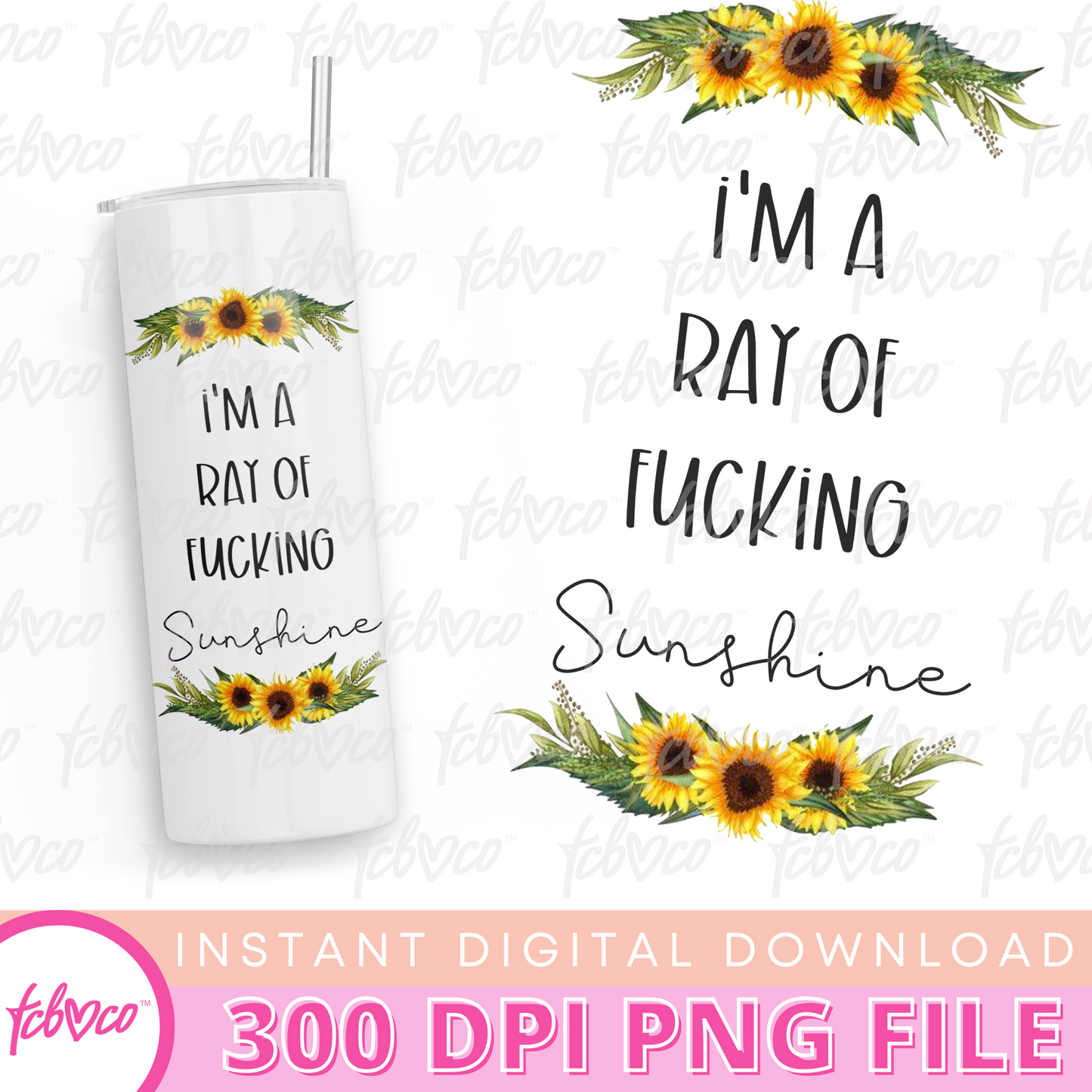 Ray Of Fucking Sunshine Digital Download